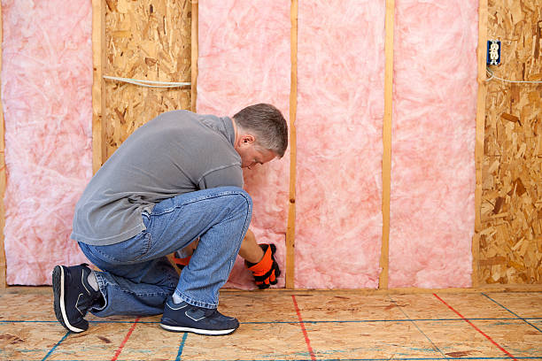 Best Residential Insulation in Otsego, MI