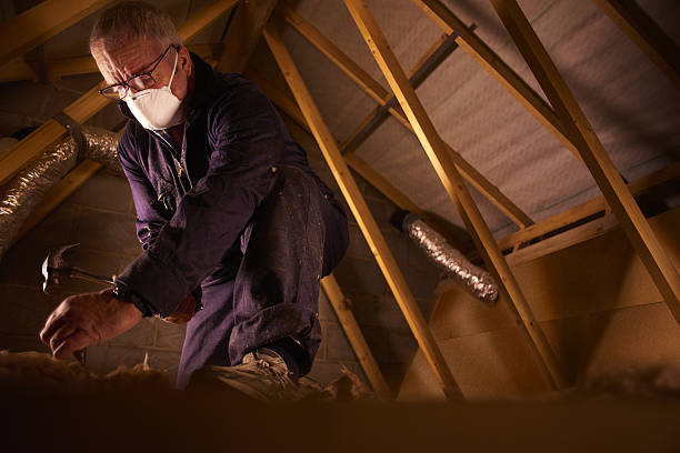 Best Residential Insulation in Otsego, MI
